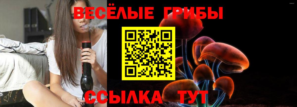 Галлюциногенные грибы Psilocybe  Вход с VPN  Усолье-Сибирское 