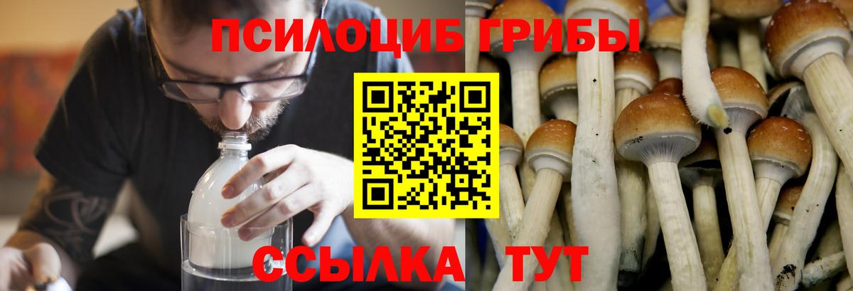 Галлюциногенные грибы GOLDEN TEACHER Усолье-Сибирское